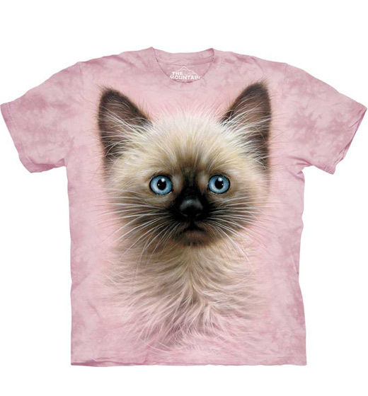 T-shirt chaton sacre birmanie enfant